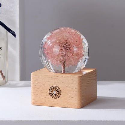 Handmade Dandelion Specimen Resin Crystal Ball Night Light