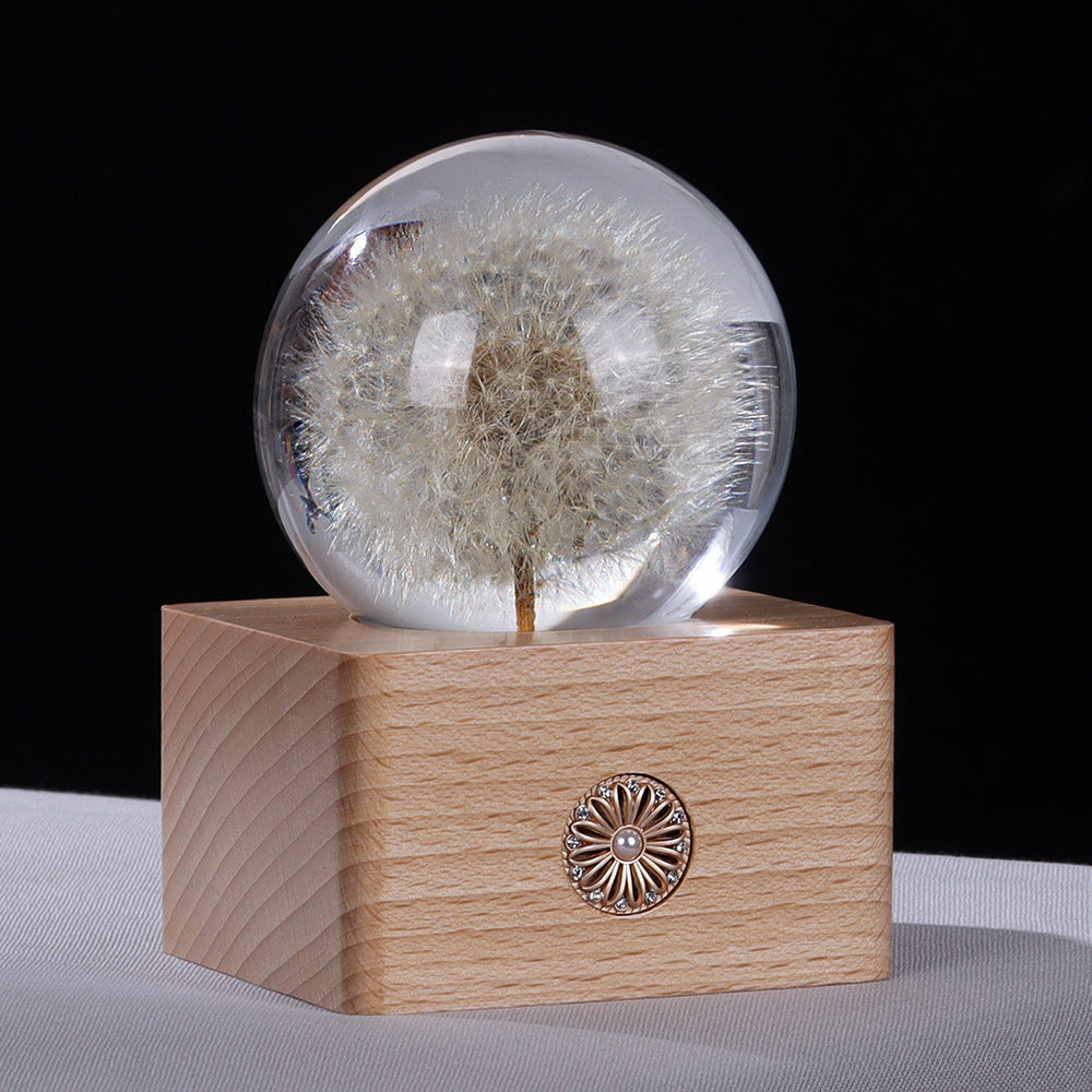 Handmade Dandelion Specimen Resin Crystal Ball Night Light