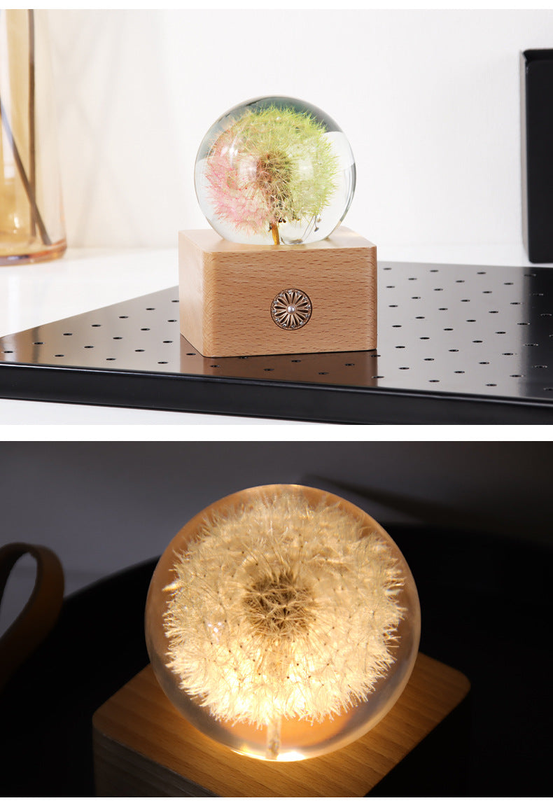 Handmade Dandelion Specimen Resin Crystal Ball Night Light