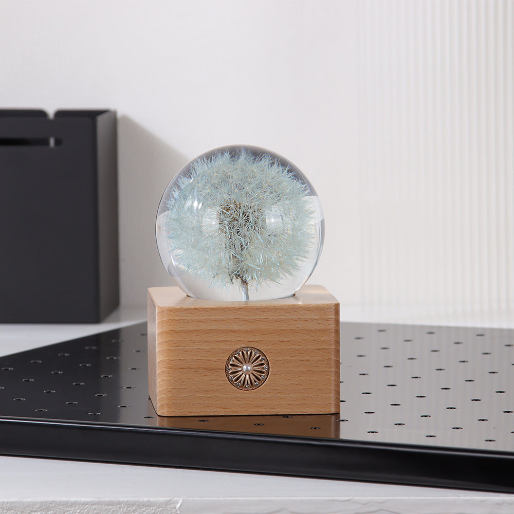 Handmade Dandelion Specimen Resin Crystal Ball Night Light