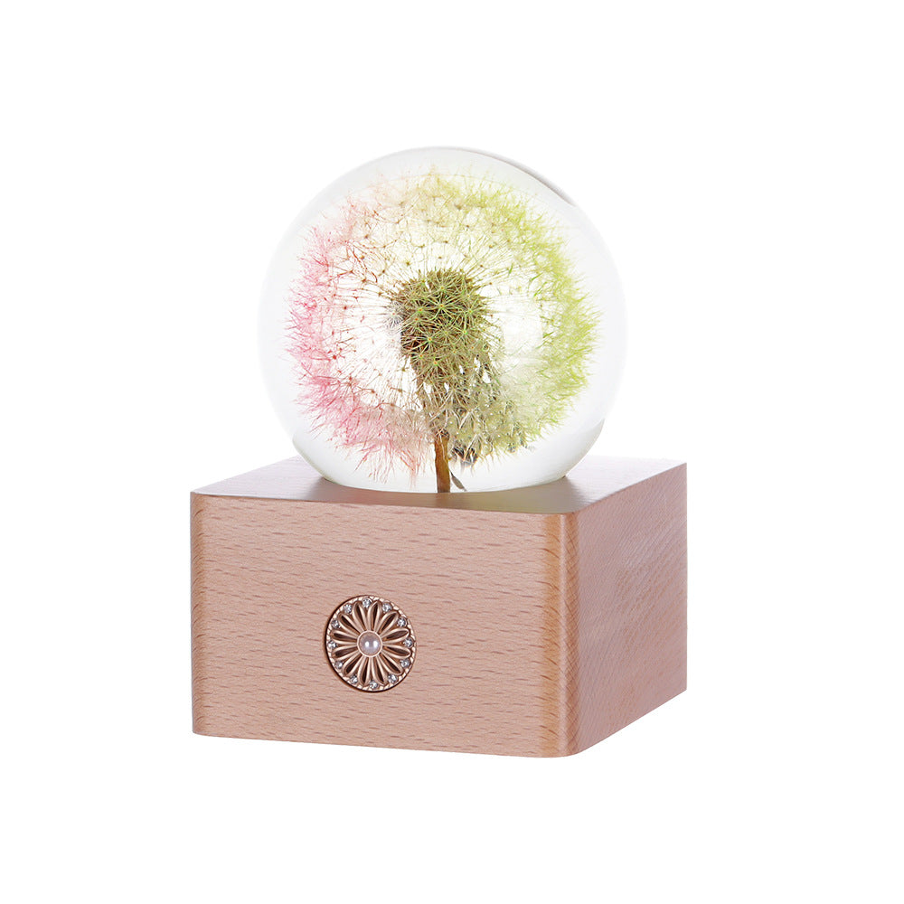 Handmade Dandelion Specimen Resin Crystal Ball Night Light