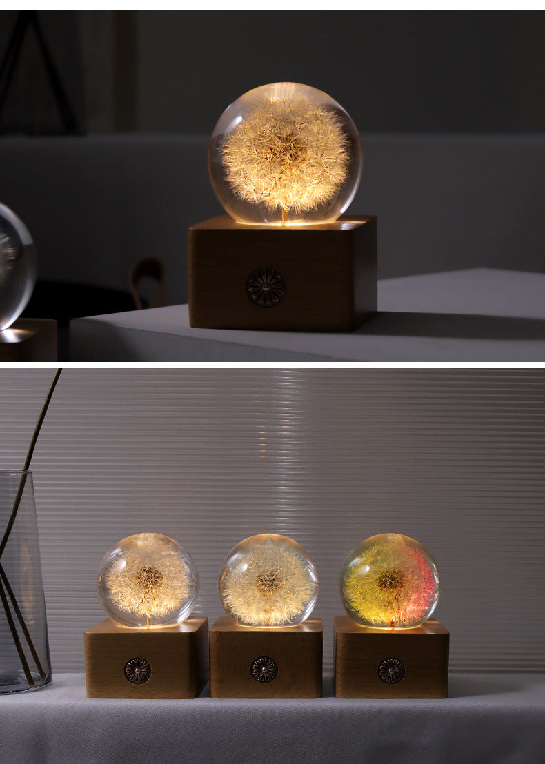 Handmade Dandelion Specimen Resin Crystal Ball Night Light