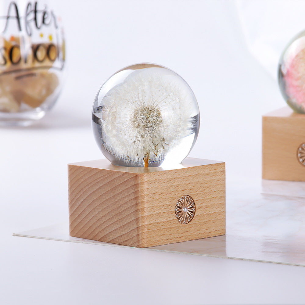 Handmade Dandelion Specimen Resin Crystal Ball Night Light