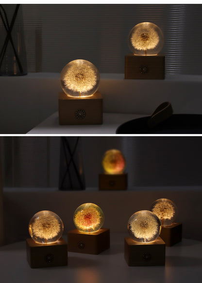 Handmade Dandelion Specimen Resin Crystal Ball Night Light