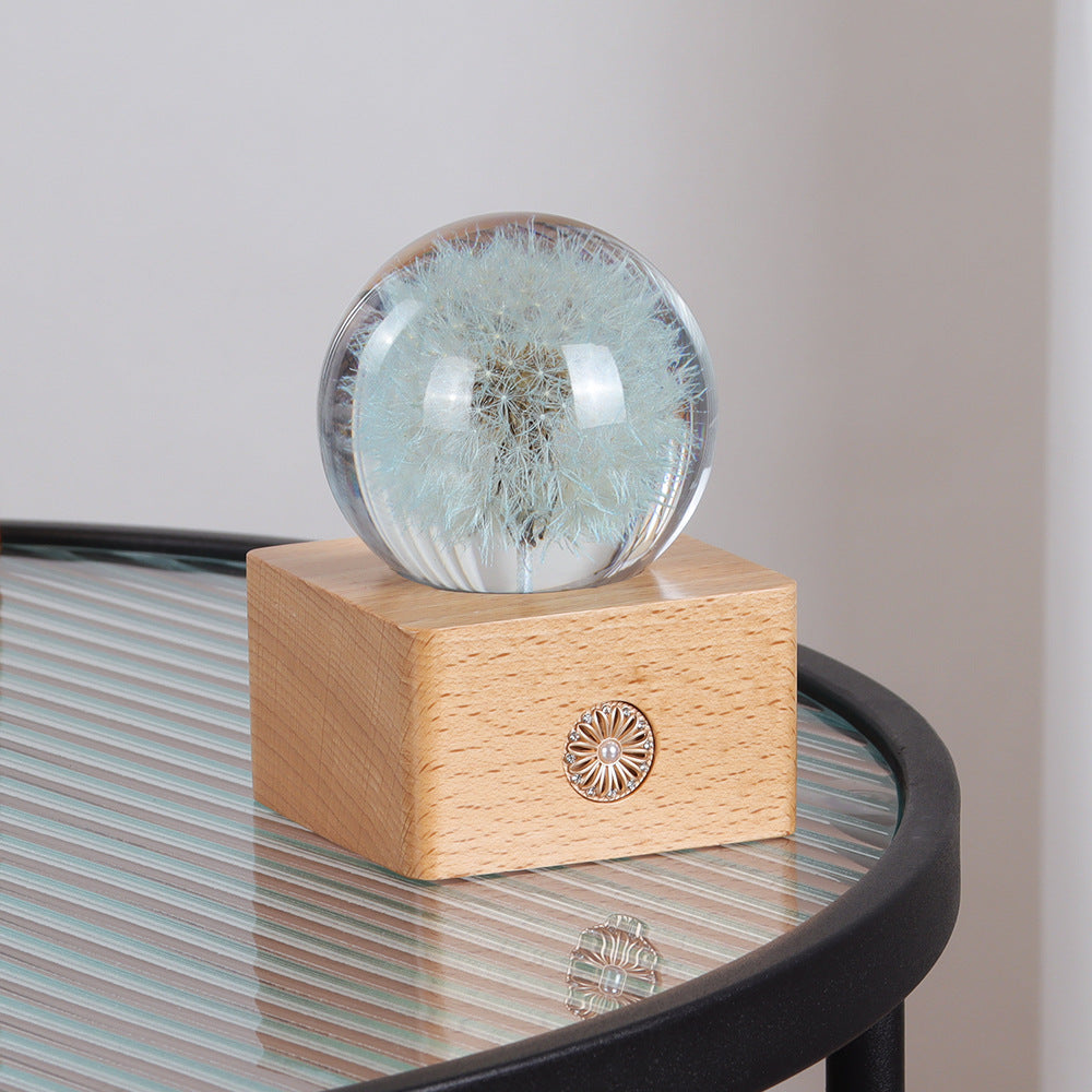 Handmade Dandelion Specimen Resin Crystal Ball Night Light