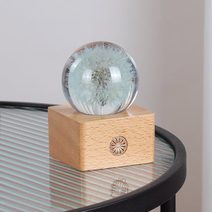 Handmade Dandelion Specimen Resin Crystal Ball Night Light