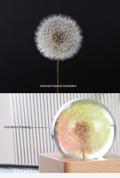 Handmade Dandelion Specimen Resin Crystal Ball Night Light