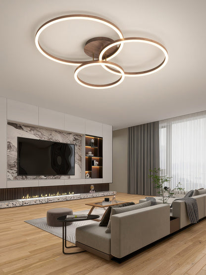 Elegant Ring Ceiling Luminaire