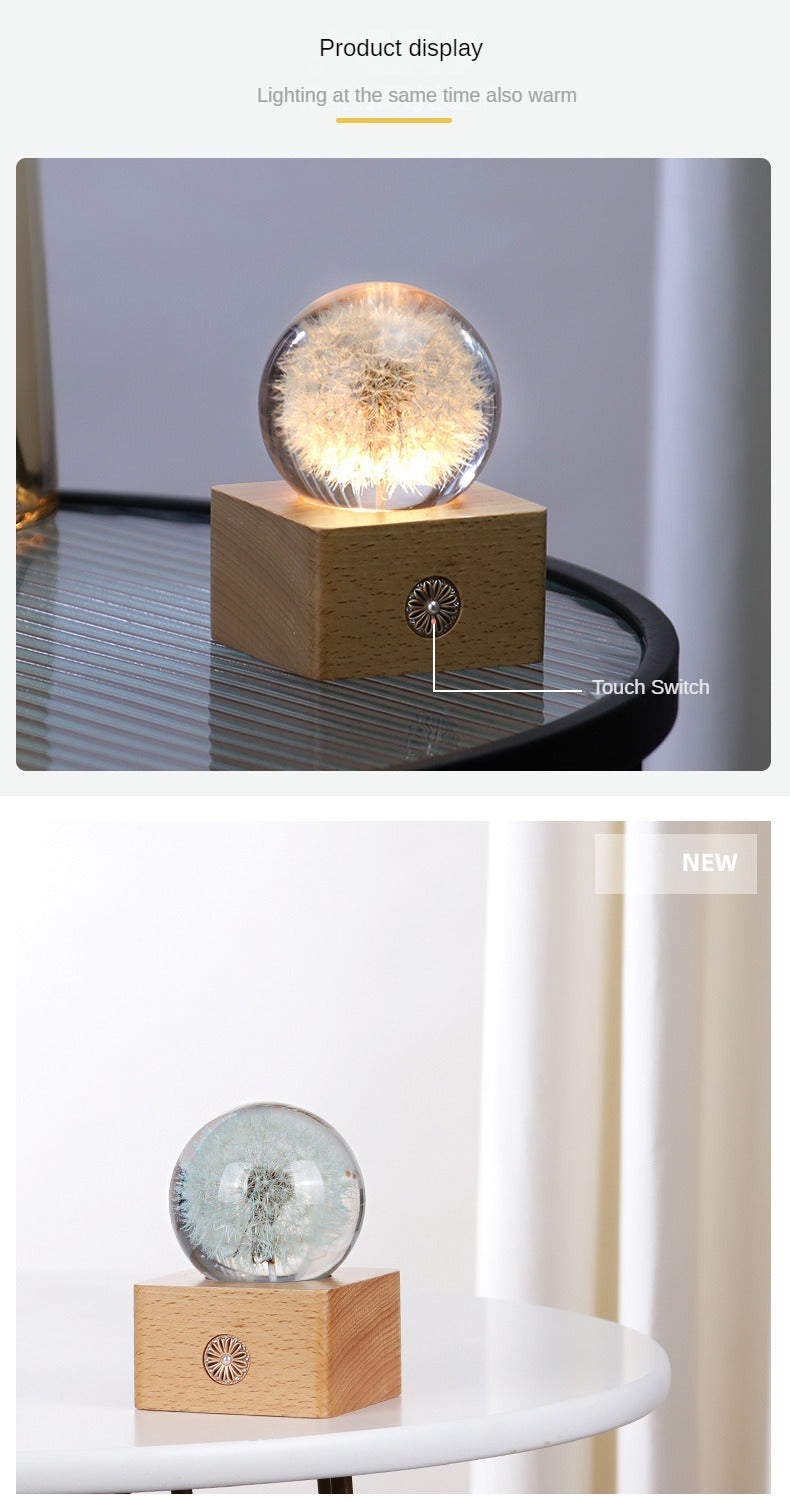 Handmade Dandelion Specimen Resin Crystal Ball Night Light