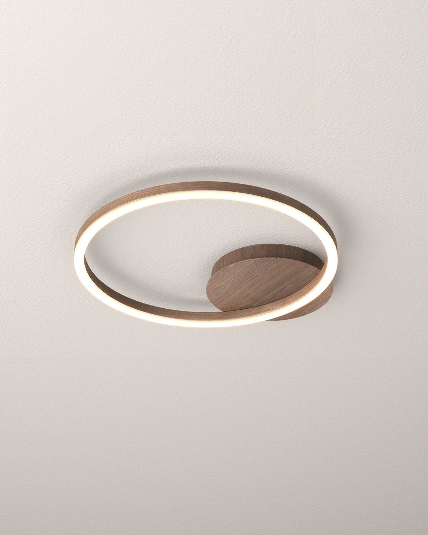 Elegant Ring Ceiling Luminaire