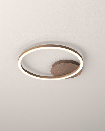 Elegant Ring Ceiling Luminaire